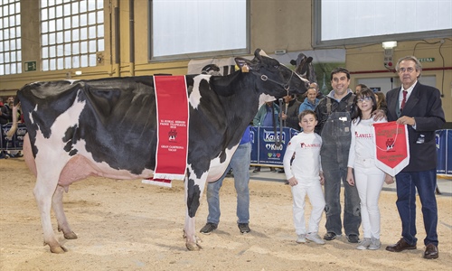 Planillo Lauthority Leire, Vaca Campeona de Euskal Herria 2019