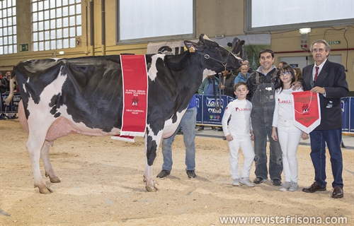 Planillo Lauthority Leire, Vaca Campeona de Euskal Herria 2019