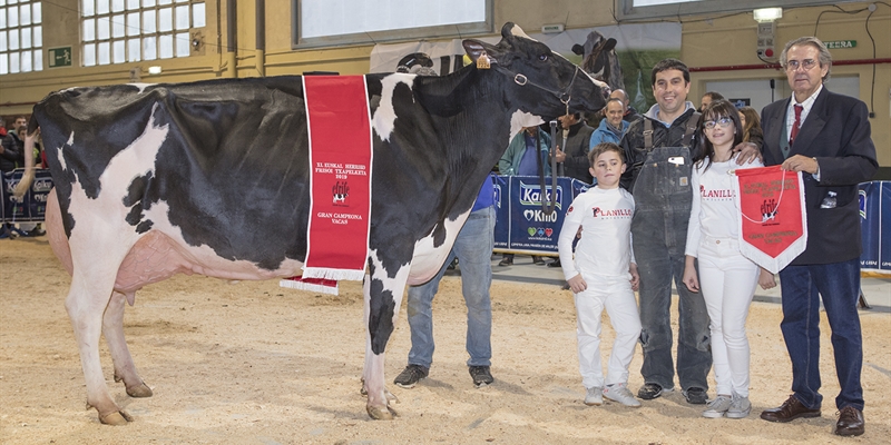 Planillo Lauthority Leire, Vaca Campeona de Euskal Herria 2019