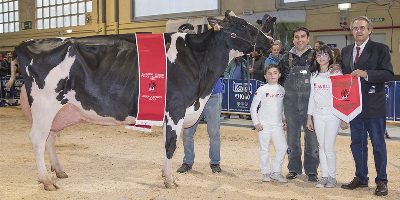 Planillo Lauthority Leire, Vaca Campeona de Euskal Herria 2019