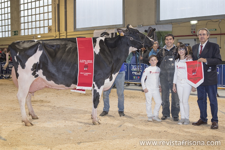 Planillo Lauthority Leire, Vaca Campeona de Euskal Herria 2019