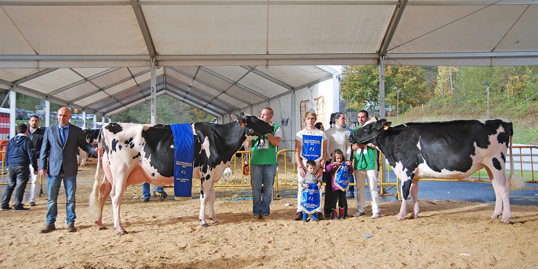 Casa Nueva Chelios Jana, Vaca Gran Campeona del Concurso de Raza...
