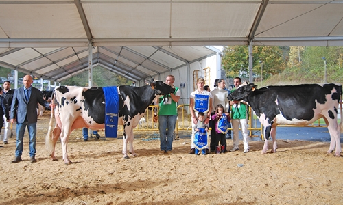 Casa Nueva Chelios Jana, Vaca Gran Campeona del Concurso de Raza...