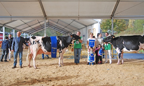 Casa Nueva Chelios Jana, Vaca Gran Campeona del Concurso de Raza...