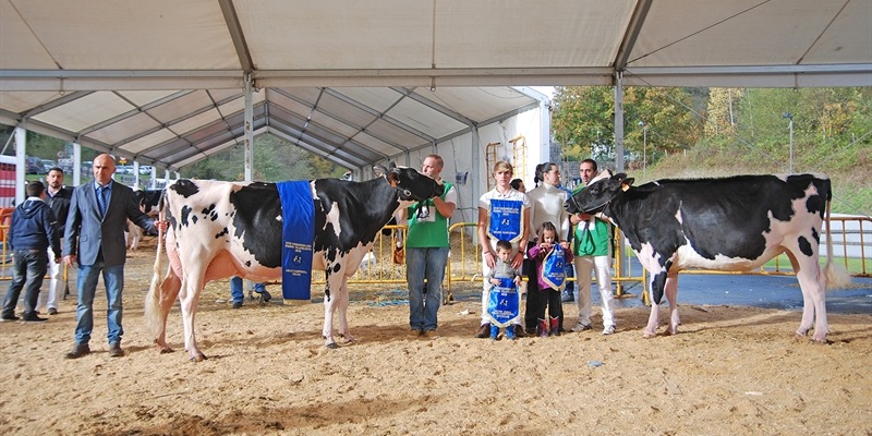 Casa Nueva Chelios Jana, Vaca Gran Campeona del Concurso de Raza Frisona de Gordexola 2019