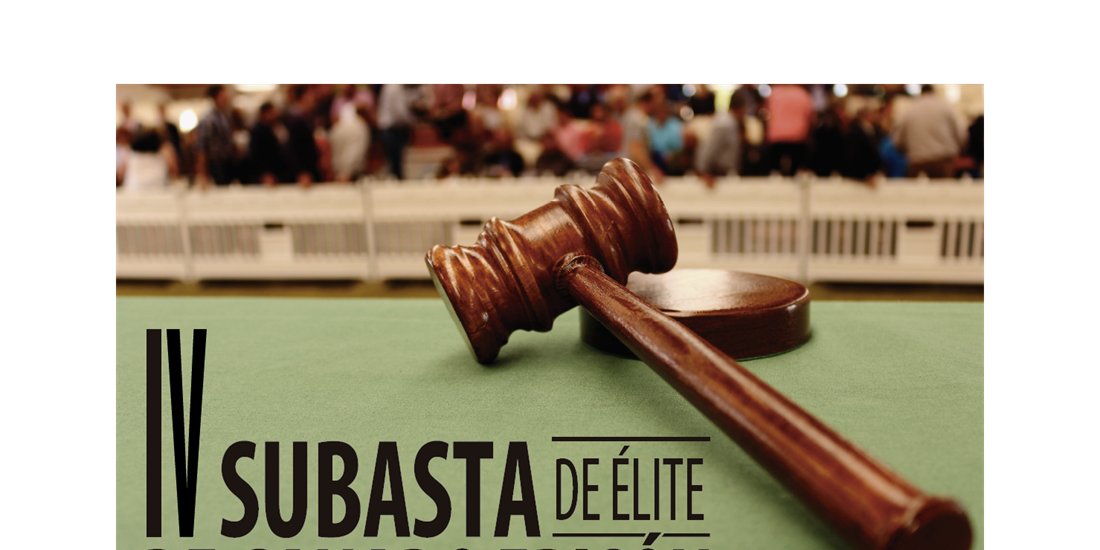 IV Subasta de �lite de Ganado Fris�n de Curtis
