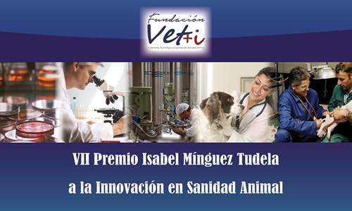 La Fundacin Vet+i convoca el VII Premio Isabel Mnguez Tudela a la...