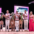 El cntabro Javier Garca Snchez, Campen Junior en el Campeonato de Manejadores Swiss Expo '20