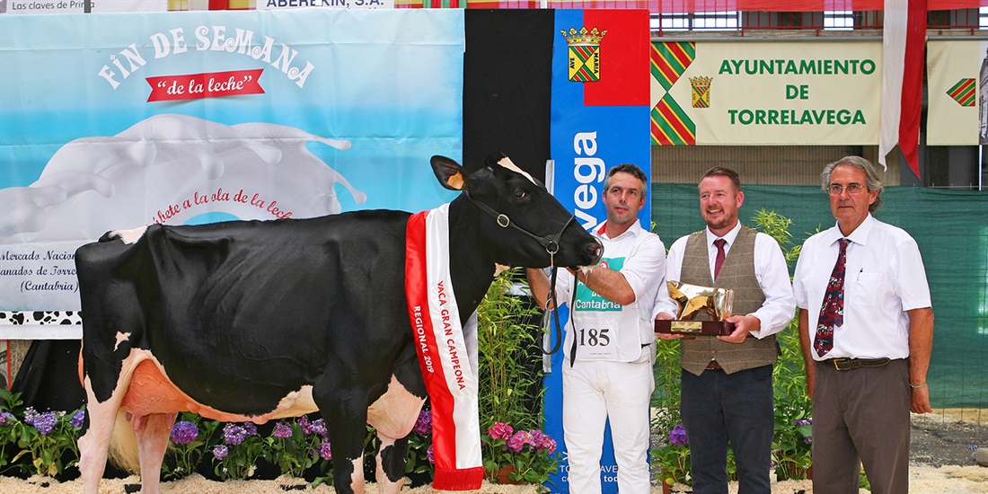 25 Concurso Regional de Raza Frisona de Cantabria