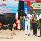 25 Concurso Regional de Raza Frisona de Cantabria