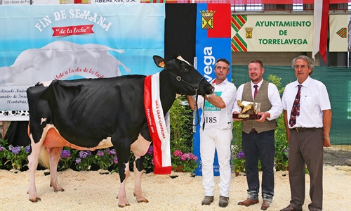 25 Concurso Regional de Raza Frisona de Cantabria