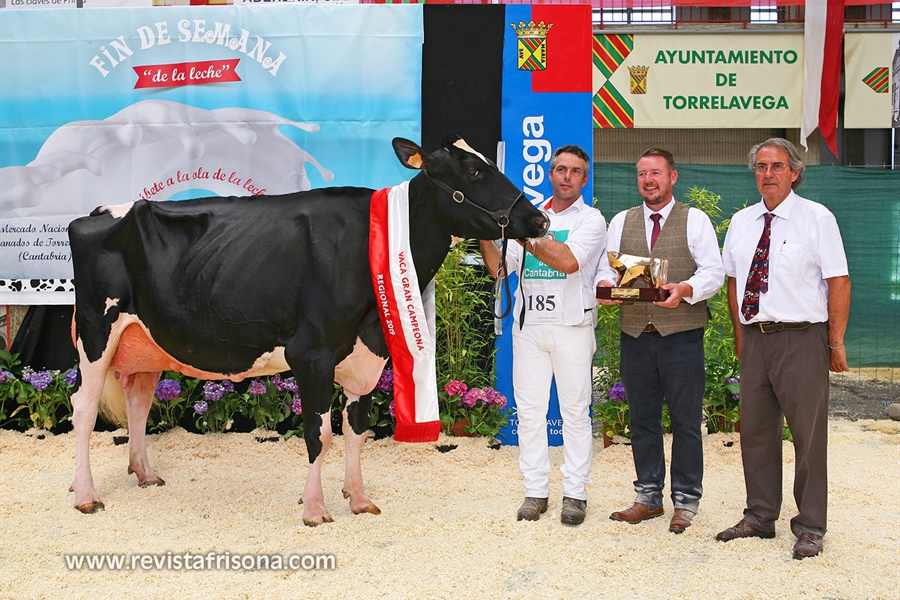 25 Concurso Regional de Raza Frisona de Cantabria