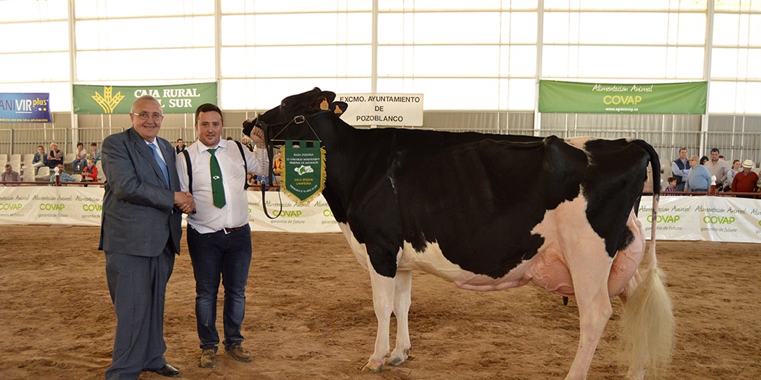 III Concurso Morfolgico Regional de Andaluca de la Raza Frisona 2020