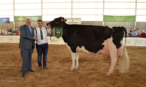 III Concurso Morfolgico Regional de Andaluca de la Raza Frisona 2020