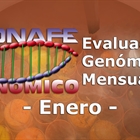 Nuevos toros genómicos con Prueba Oficial: Evaluación genómica de enero 2020
