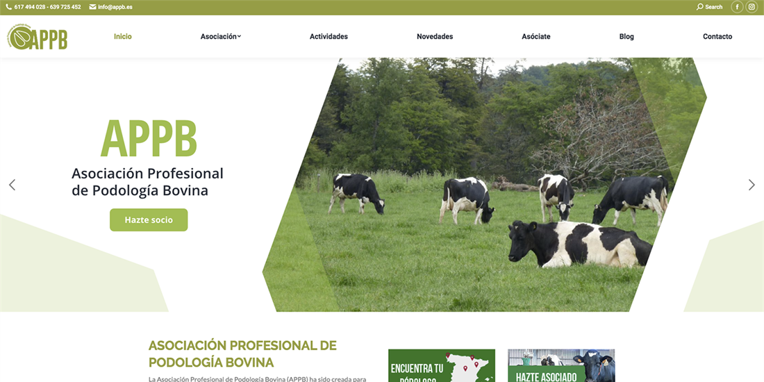 Ya est disponible la nueva web de la Asociacin Profesional de...