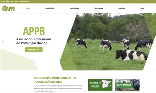 Ya est disponible la nueva web de la Asociacin Profesional de...