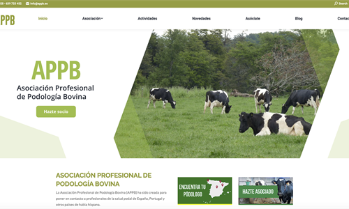 Ya est disponible la nueva web de la Asociacin Profesional de...