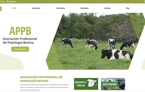 Ya est disponible la nueva web de la Asociacin Profesional de...