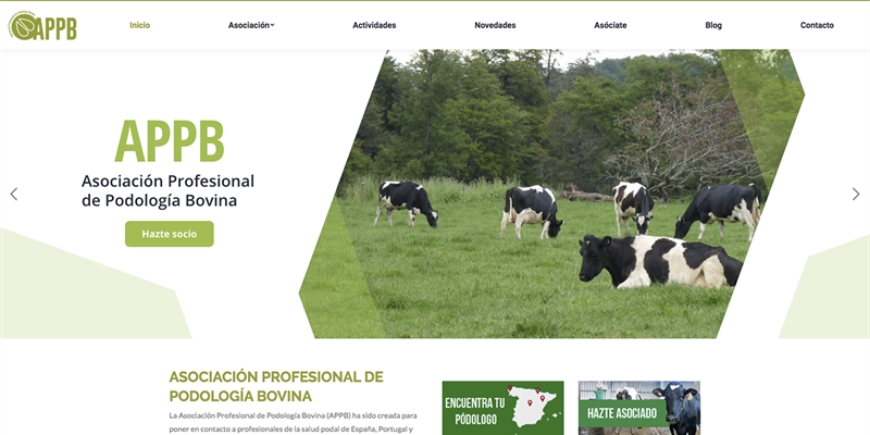 Ya está disponible la nueva web de la Asociación Profesional de Podología Bovina (APPB)