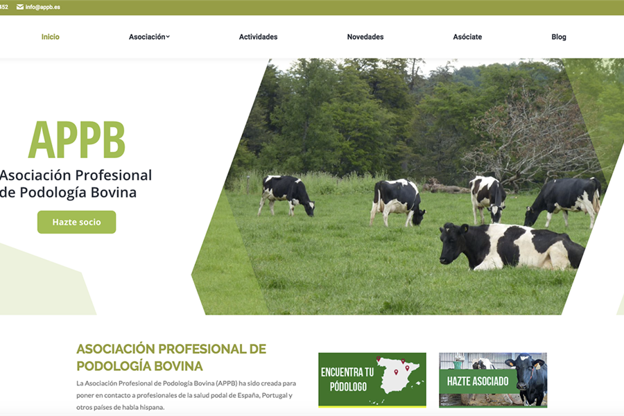 Ya est disponible la nueva web de la Asociacin Profesional de...