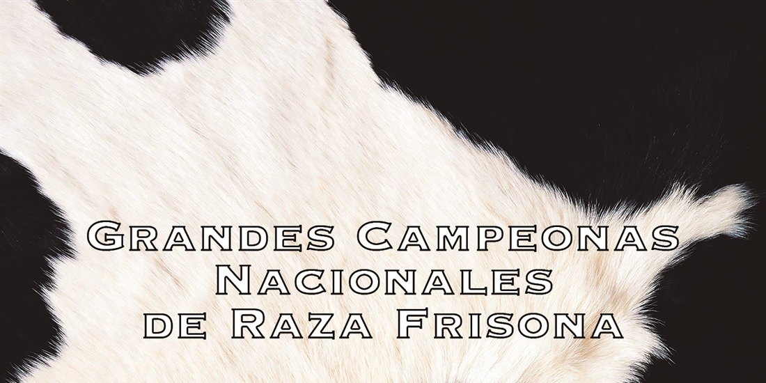 Vacas Grandes Campeonas Nacionales de Raza Frisona