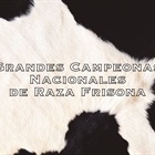 Vacas Grandes Campeonas Nacionales de Raza Frisona