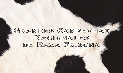 Vacas Grandes Campeonas Nacionales de Raza Frisona