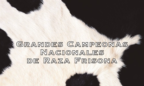 Vacas Grandes Campeonas Nacionales de Raza Frisona