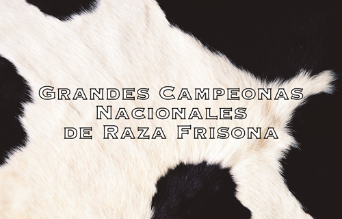 Vacas Grandes Campeonas Nacionales de Raza Frisona