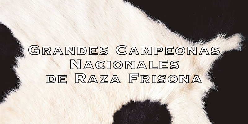 Vacas Grandes Campeonas Nacionales de Raza Frisona