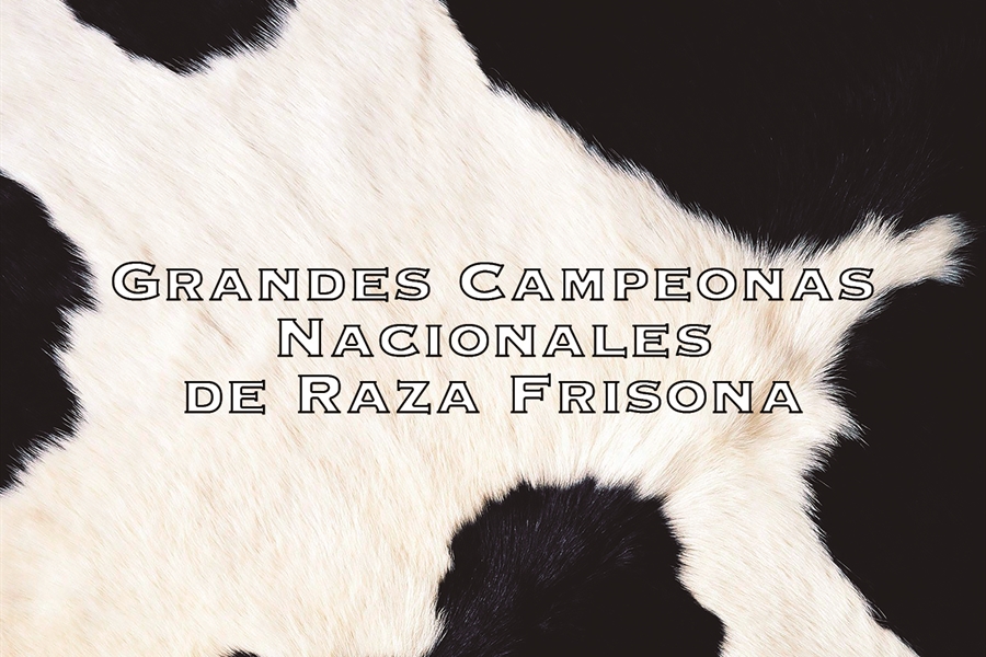 Vacas Grandes Campeonas Nacionales de Raza Frisona