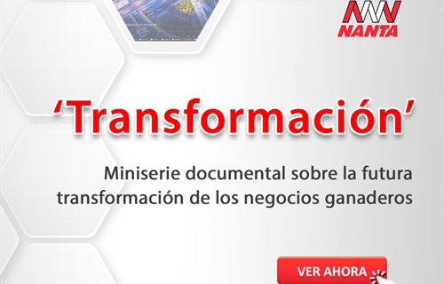 Nanta presenta Transformacin, miniserie documental sobre la...