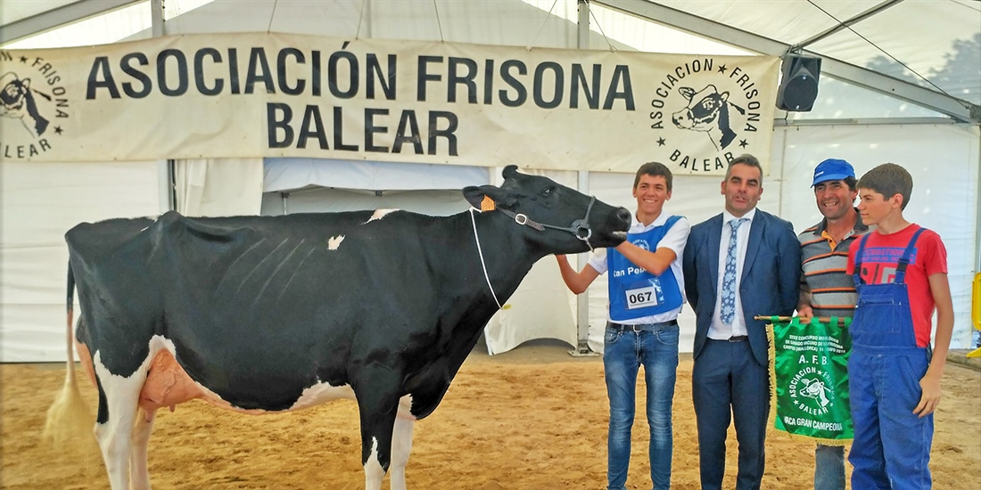 40 Concurso Morfolgico de Ganado Vacuno de Raza Frisona de Mallorca 2020