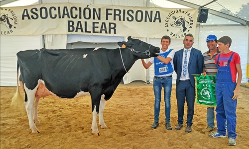 40 Concurso Morfolgico de Ganado Vacuno de Raza Frisona de Mallorca 2020