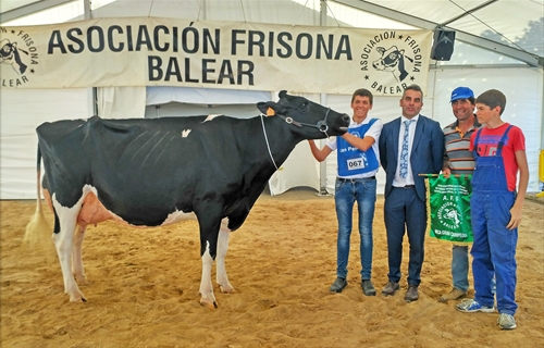 40 Concurso Morfolgico de Ganado Vacuno de Raza Frisona de Mallorca 2020