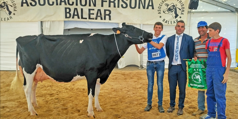 40 Concurso Morfolgico de Ganado Vacuno de Raza Frisona de Mallorca 2020