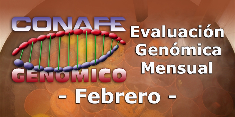 Nuevos toros genmicos con Prueba Oficial: Evaluacin genmica de febrero 2020