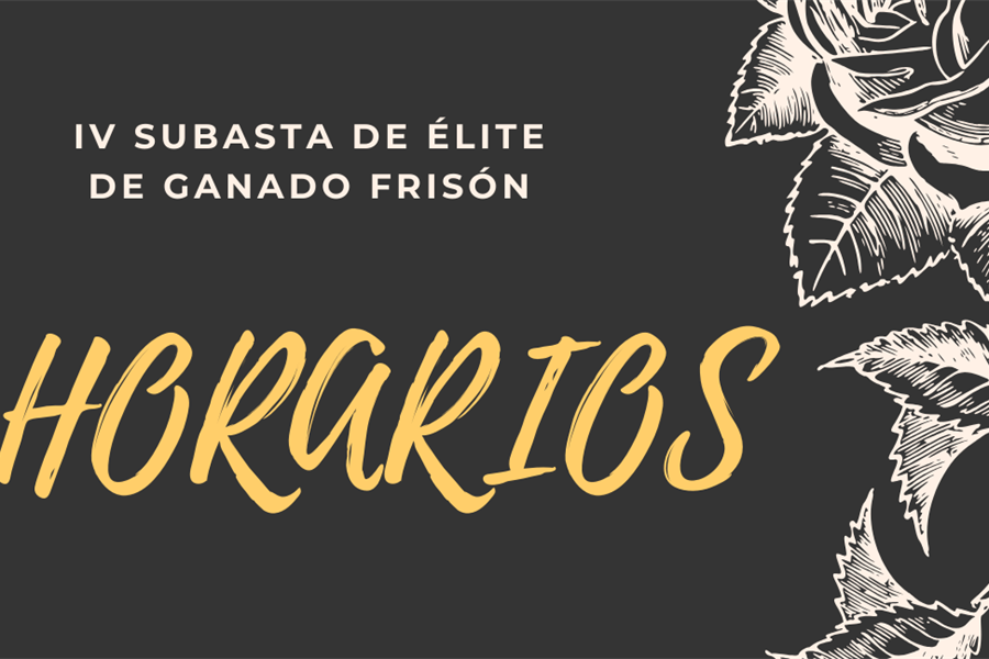 Este fin de semana se celebra la IV Subasta de lite de Ganado Frisn...