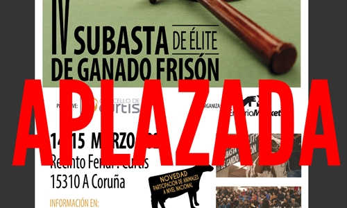 Se aplaza la IV Subasta de lite de Ganado Frisn de Curtis (A Corua)