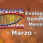 Nuevos toros genómicos con Prueba Oficial: Evaluación genómica de marzo 2020