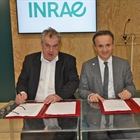 Olmix Group e INRAe colaborarn por una produccin ganadera y agrcola sostenibles