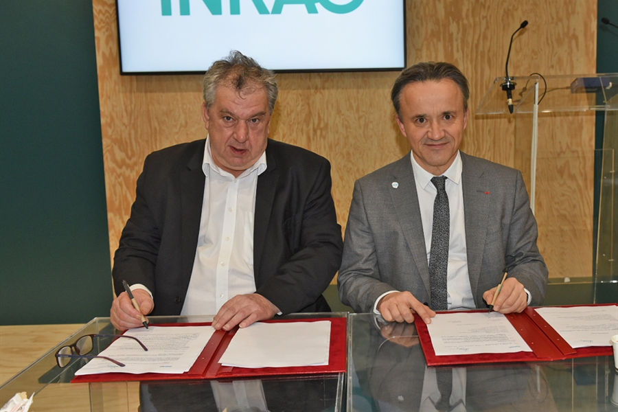 Olmix Group e INRAe colaborarn por una produccin ganadera y agrcola...