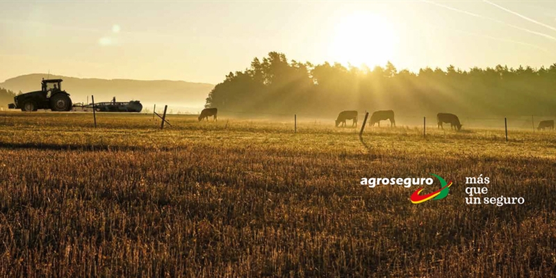 Agroseguro adopta las medidas necesarias para atender a los agricultores y ganaderos espaoles