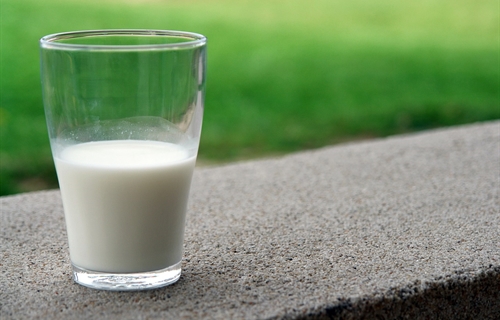 La industria láctea a pleno rendimiento para que a los ciudadanos no...