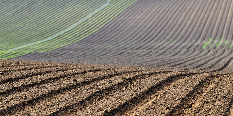 El Gobierno ampla en 20 das los perodos de suscripcin y de modificacin del seguro agrario