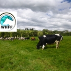 El Consejo de la Federación Mundial de Raza Holstein mantiene como Presidente a Jos Buiting (Países Bajos) para los próximos 12 meses