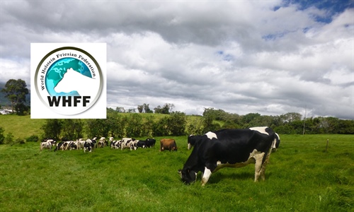 El Consejo de la Federacin Mundial de Raza Holstein mantiene como...