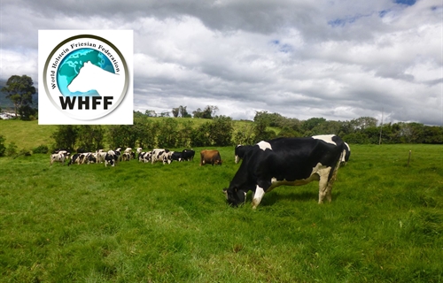 El Consejo de la Federacin Mundial de Raza Holstein mantiene como...