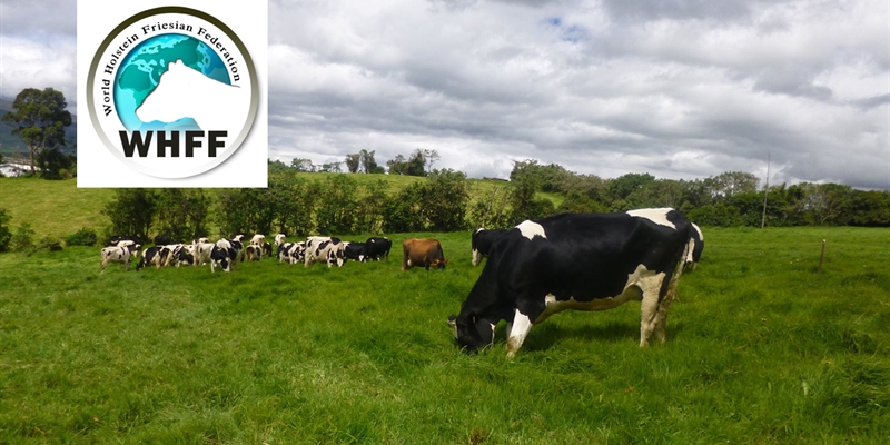 El Consejo de la Federación Mundial de Raza Holstein mantiene como Presidente a Jos Buiting (Países Bajos) para los próximos 12 meses